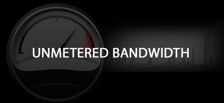 unmetered bandwidth