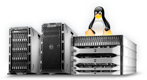 Linux or Windows Dedicated Server? Which one is better?