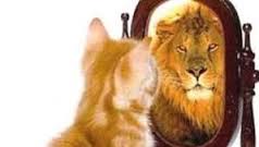 Self confidence