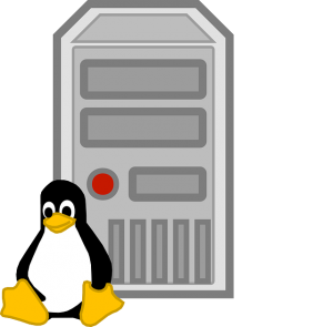 Linux Dedicated Server