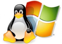 The Choice between Linux and Windows Dedicated Servers
