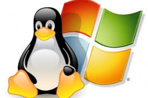 The Choice between Linux and Windows Dedicated Servers