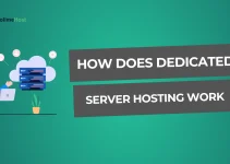 How Does Dedicated Server Hosting Work – Simplified