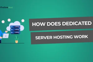 How Does Dedicated Server Hosting Work – Simplified