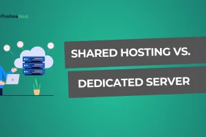 Shared Hosting vs. Dedicated Server – Which is the Best For You?