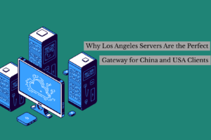 Why Los Angeles Servers Are the Perfect Gateway for China and USA Clients