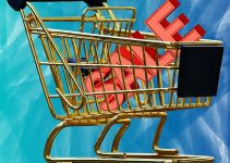 Increasing the Odds that Your Online Shopper Will Buy