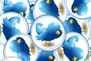 Twitter is on the move – up