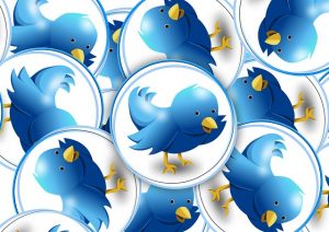twitter-848528_640
