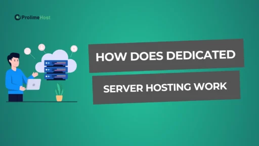 Prolimehost - how does dedicated server hosting work