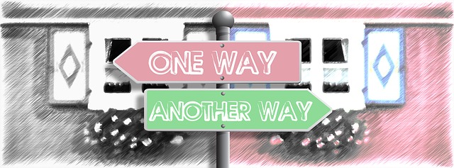 one way other way