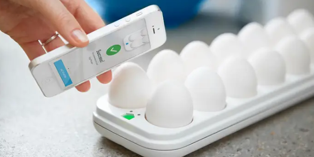 Quirky-Egg-Minder | Blogs A picture containing indoor, person, hand, white
Description automatically generated